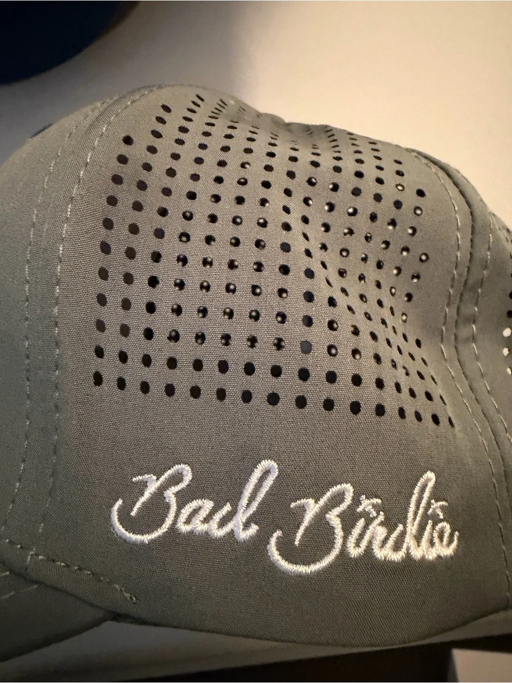 Bad Birdie Hat (Never Worn)